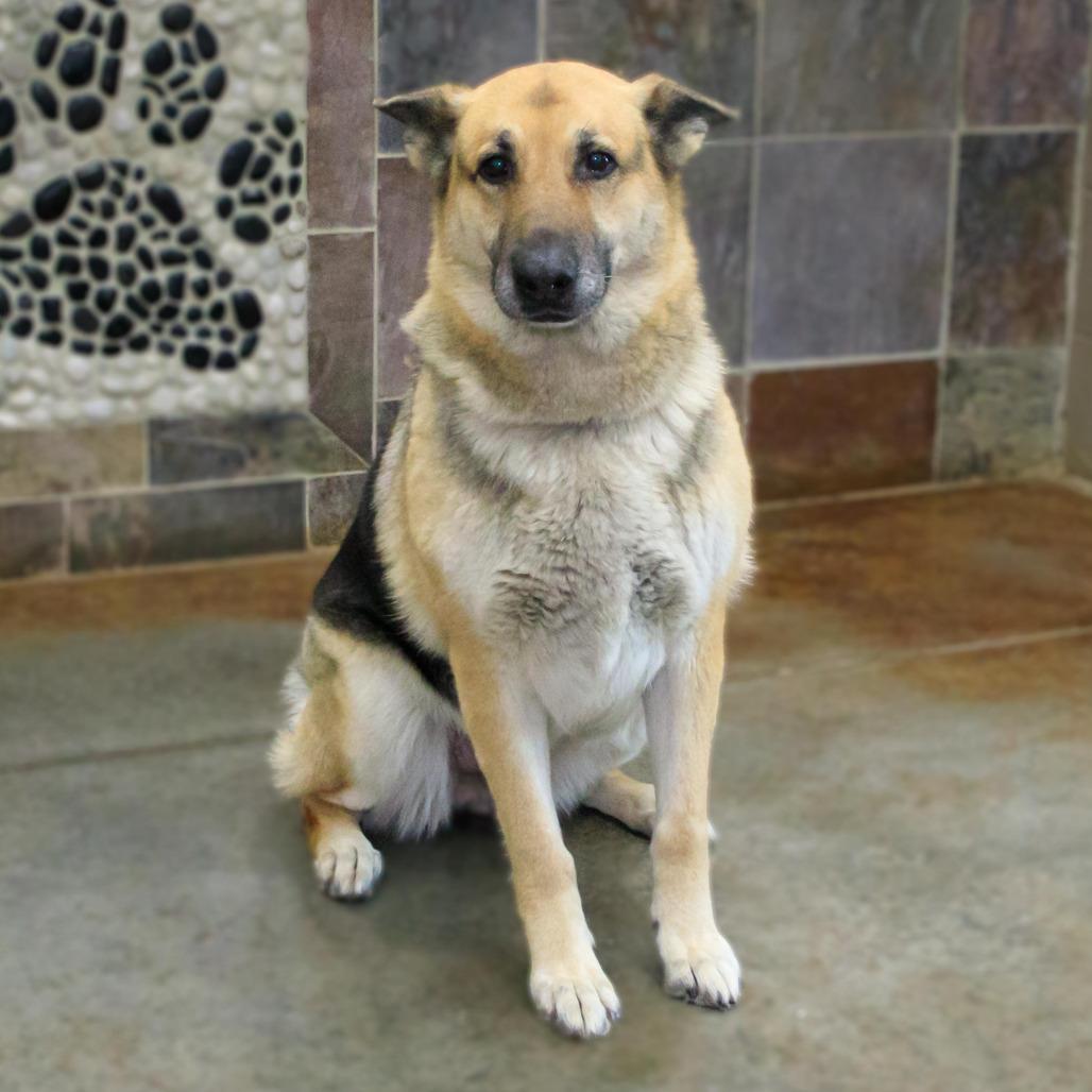 Mylah — thumbnail 2