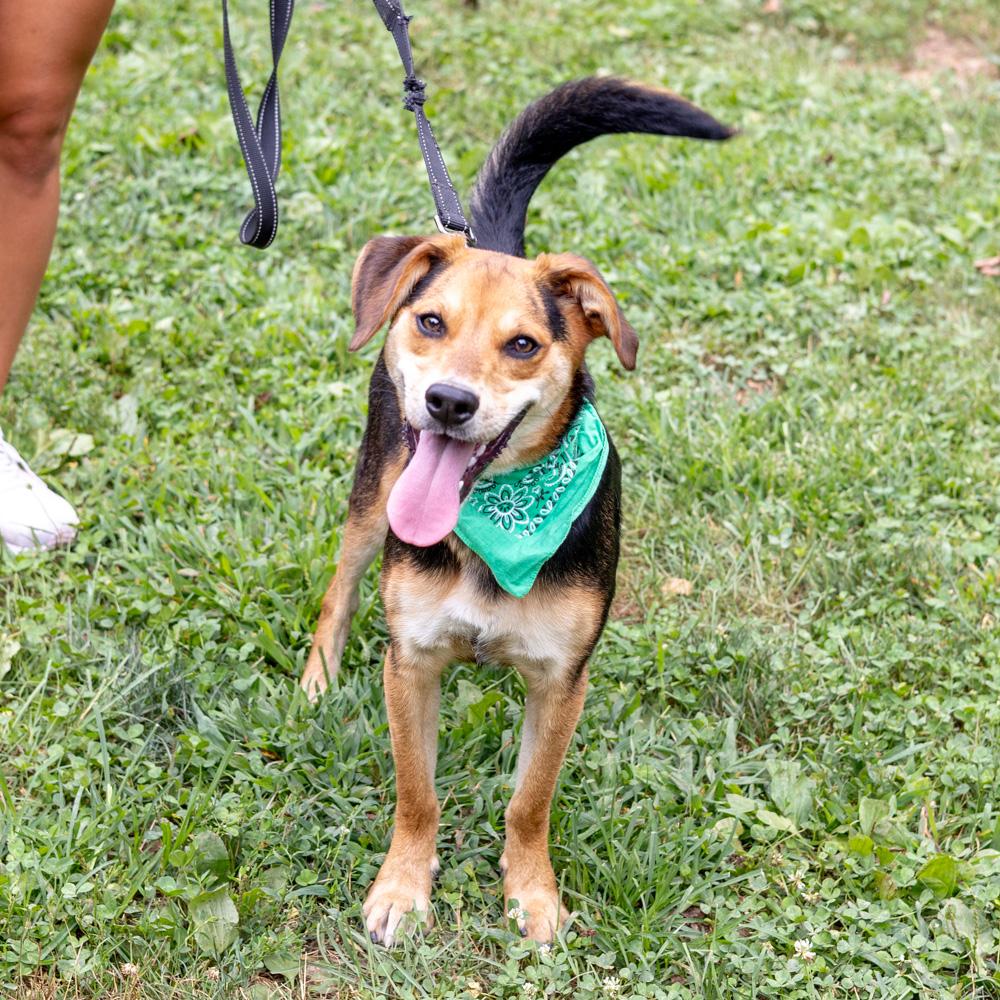 Sammy (Male)