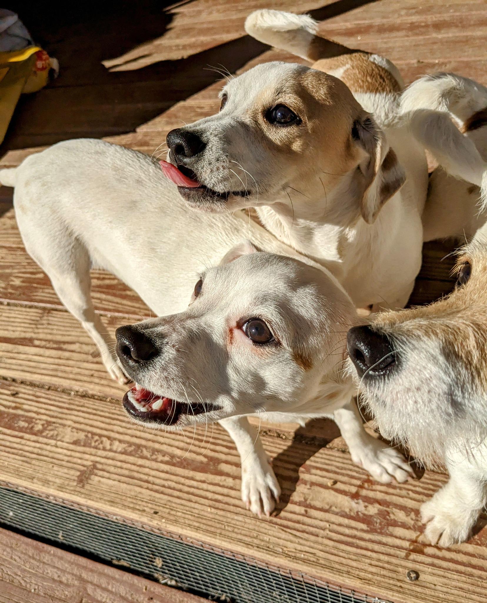 Maddison thumbnail 3