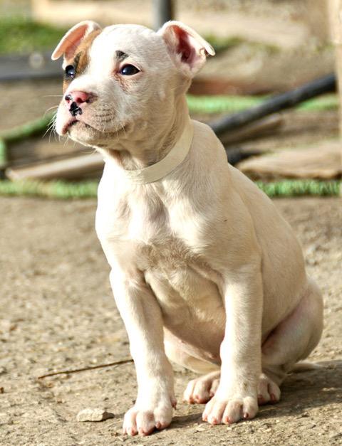 Carla Cutiepie — thumbnail 2