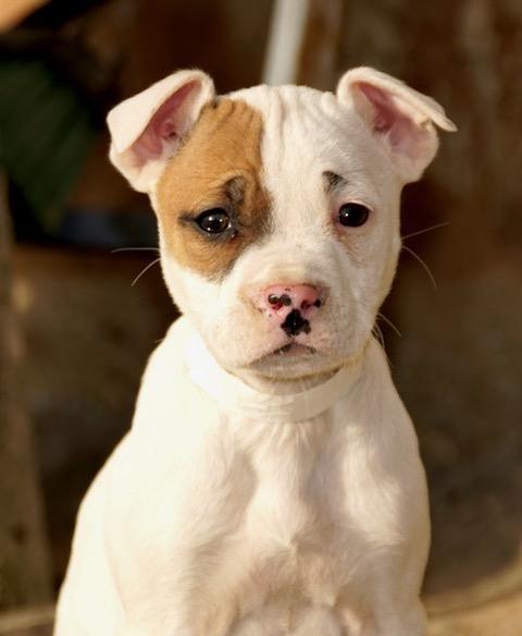 Carla Cutiepie — thumbnail 3