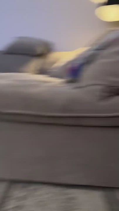 Enlarge Bear, an adopted Mixed Breed in Rochester, NY video 5/5