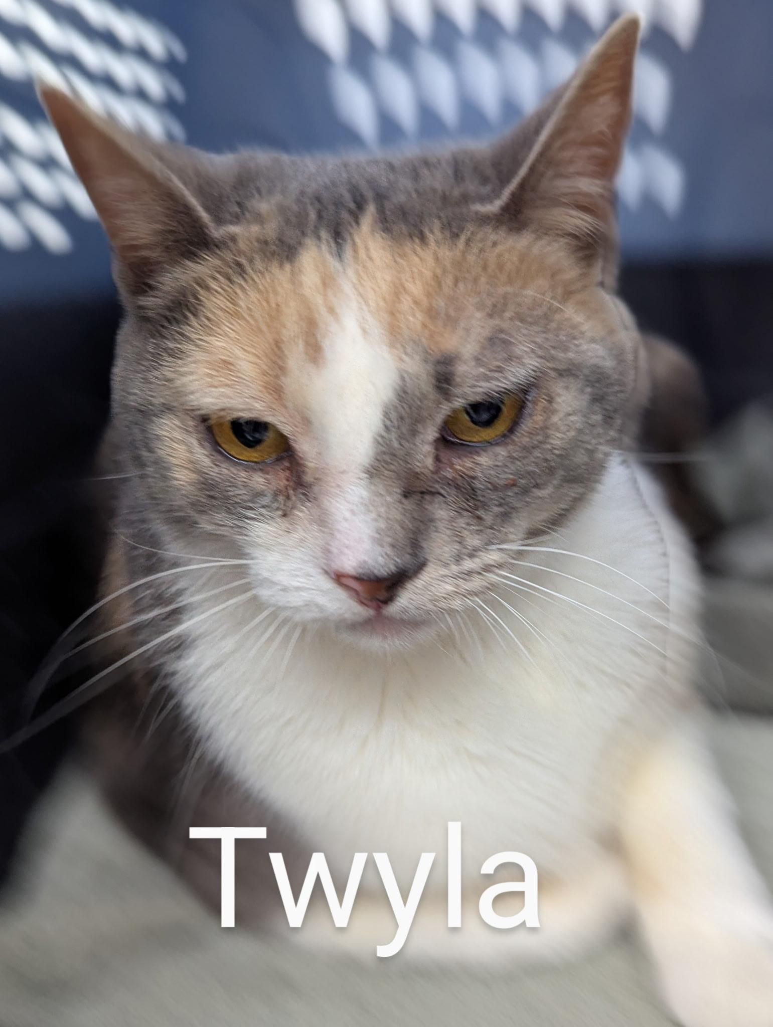 Twyla
