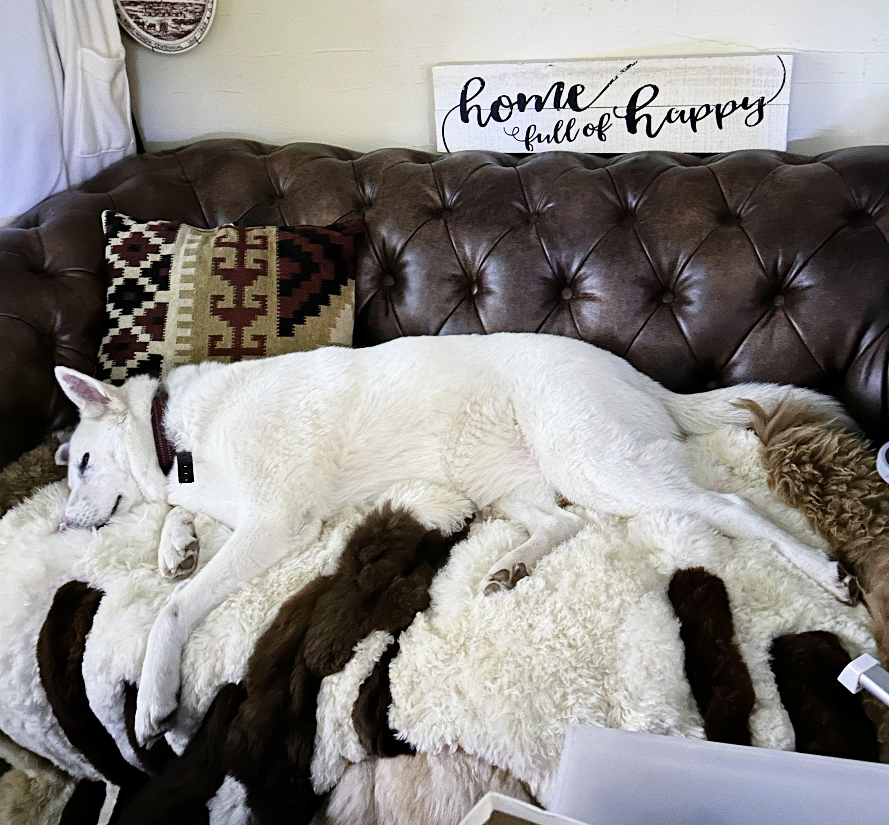 Luna - Your One and Only