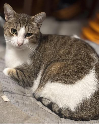 Julian — thumbnail 5