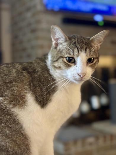 Julian — thumbnail 6