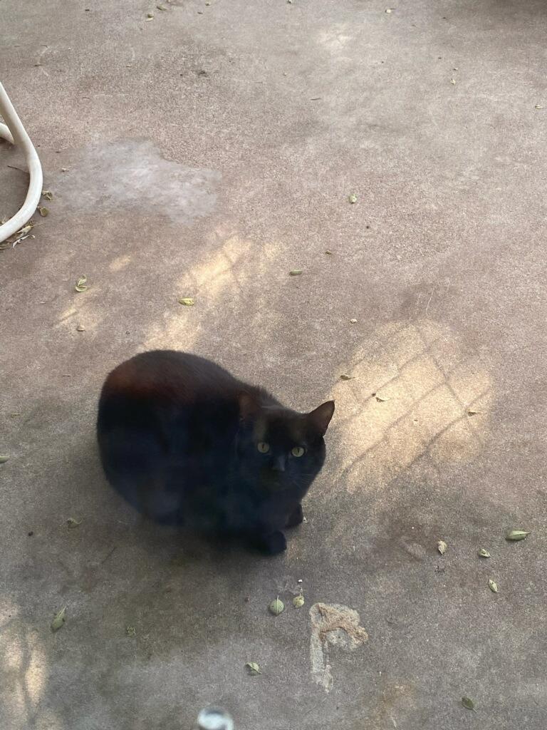 Big Daddy — thumbnail 2