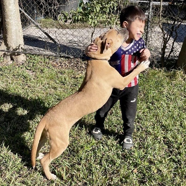 Bear — thumbnail 5