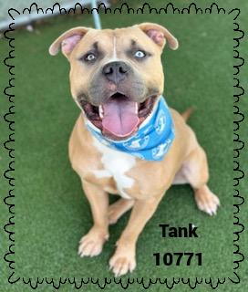 TANK