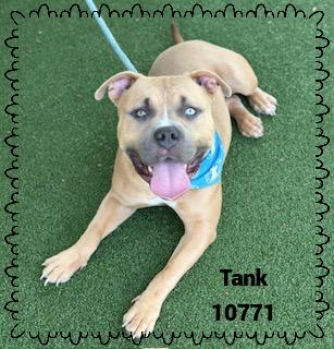 TANK