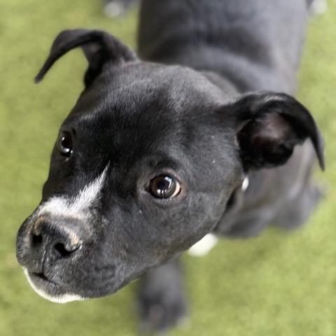 Omega — thumbnail 2