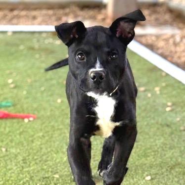 Omega — thumbnail 3