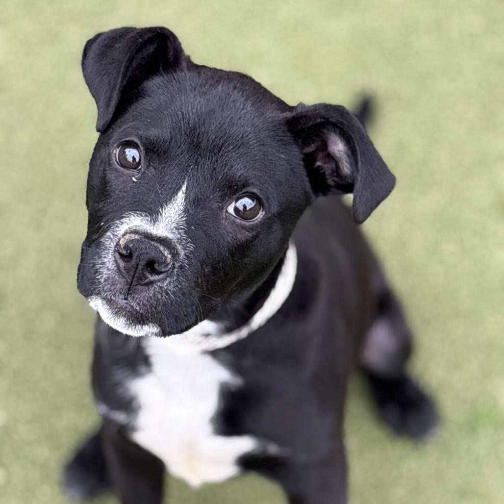 Omega — thumbnail 4