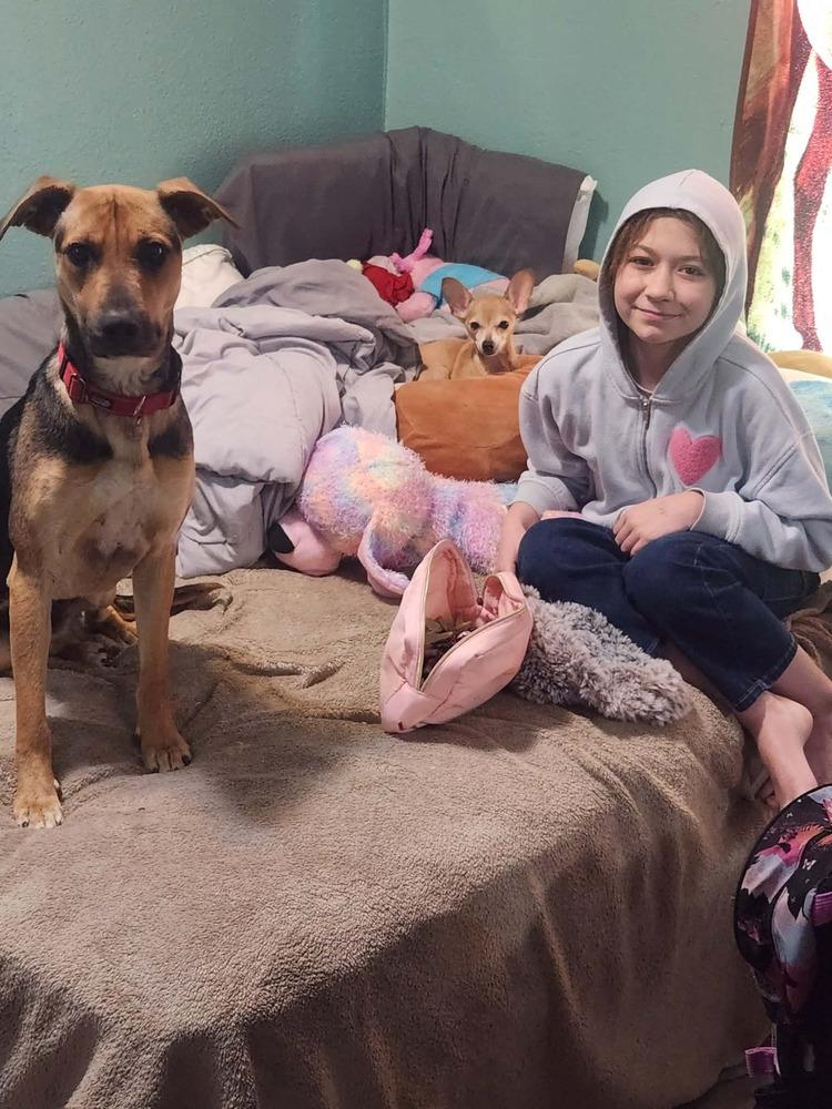 Enlarge Friday, a Adoptable mixed breed in Fredonia, WI image 1/3