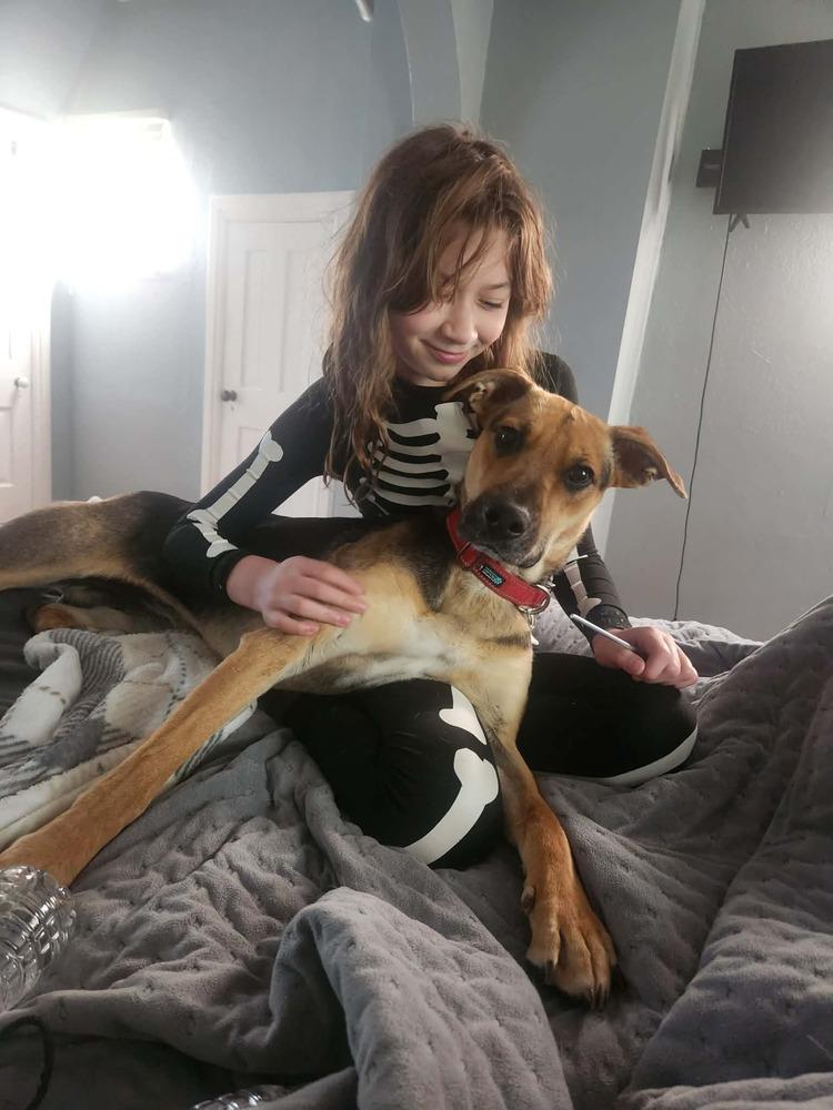 Enlarge Friday, a Adoptable mixed breed in Fredonia, WI image 2/3