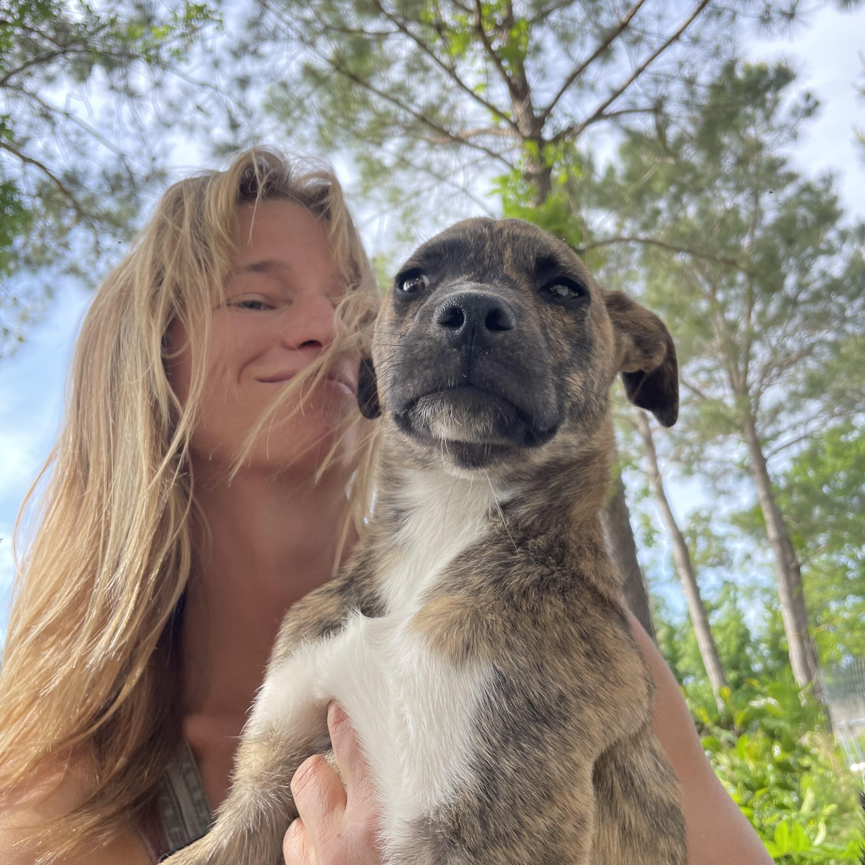 Enlarge Olas, a Adopted mixed breed in Darlington, SC image 3/4