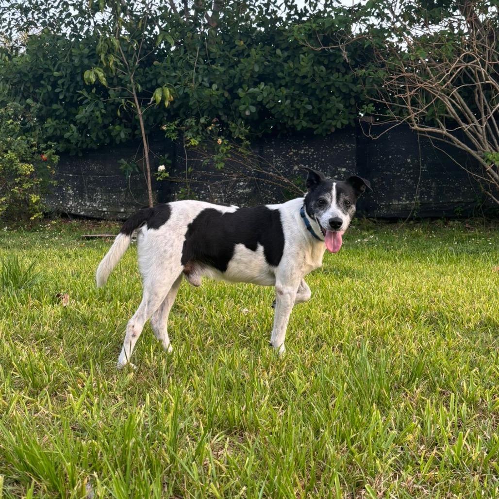 Alejandro — thumbnail 2