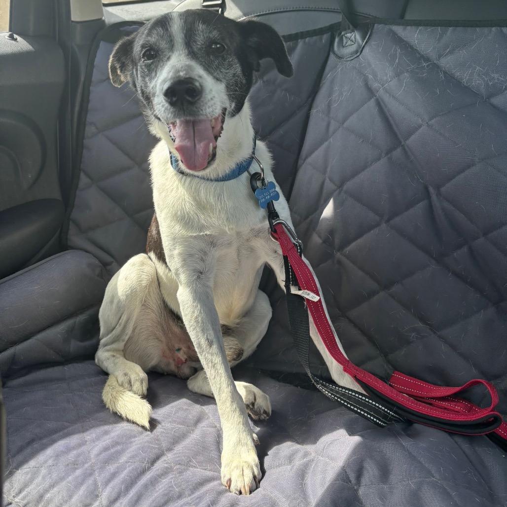 Alejandro — thumbnail 3