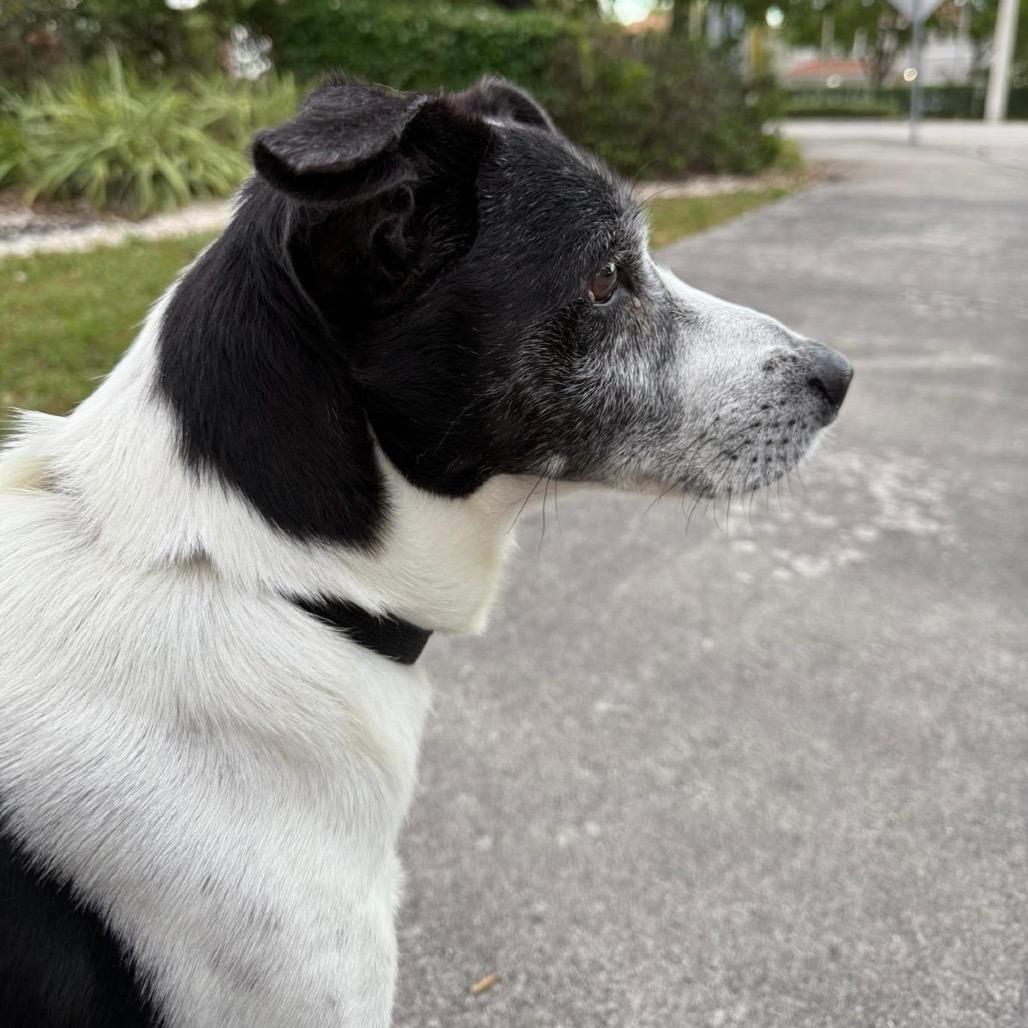 Alejandro — thumbnail 4