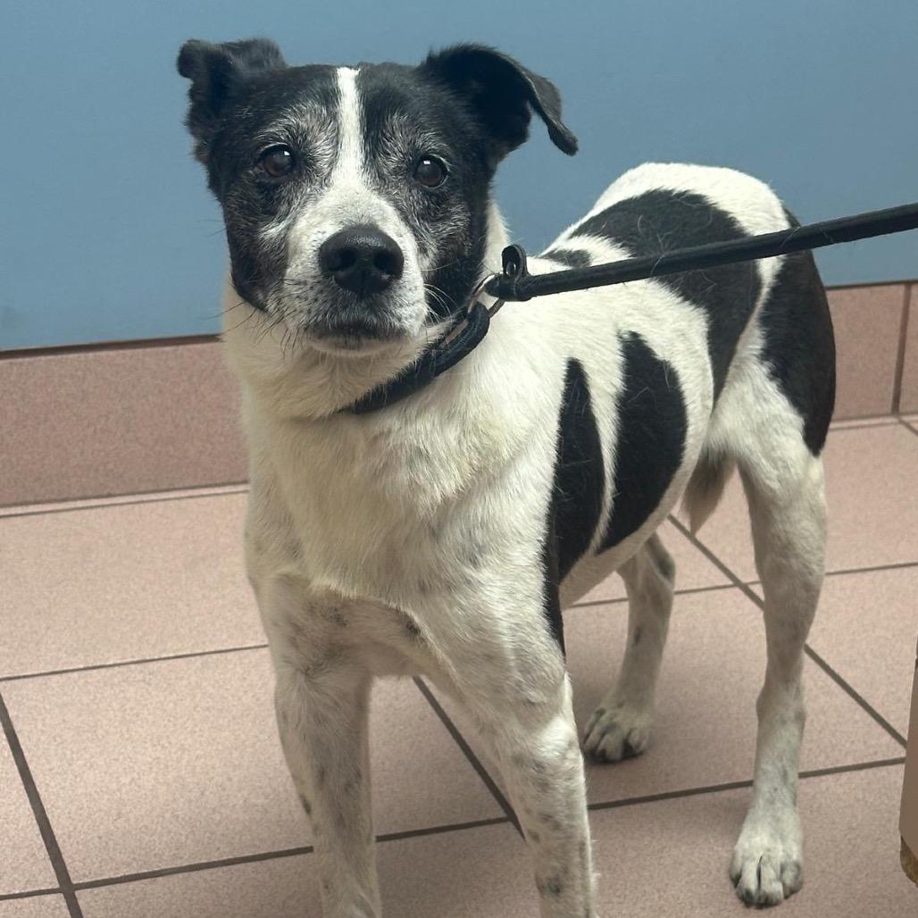 Alejandro — thumbnail 5