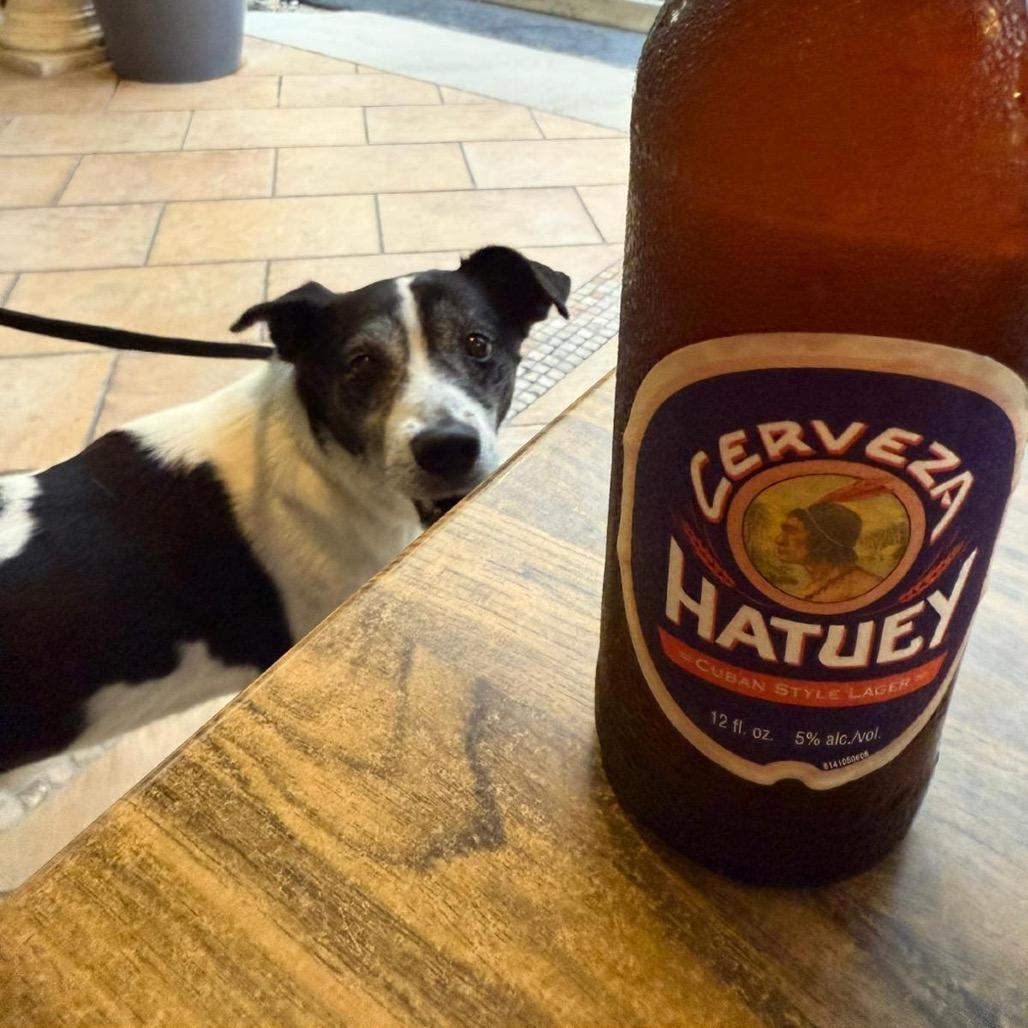 Alejandro — thumbnail 6