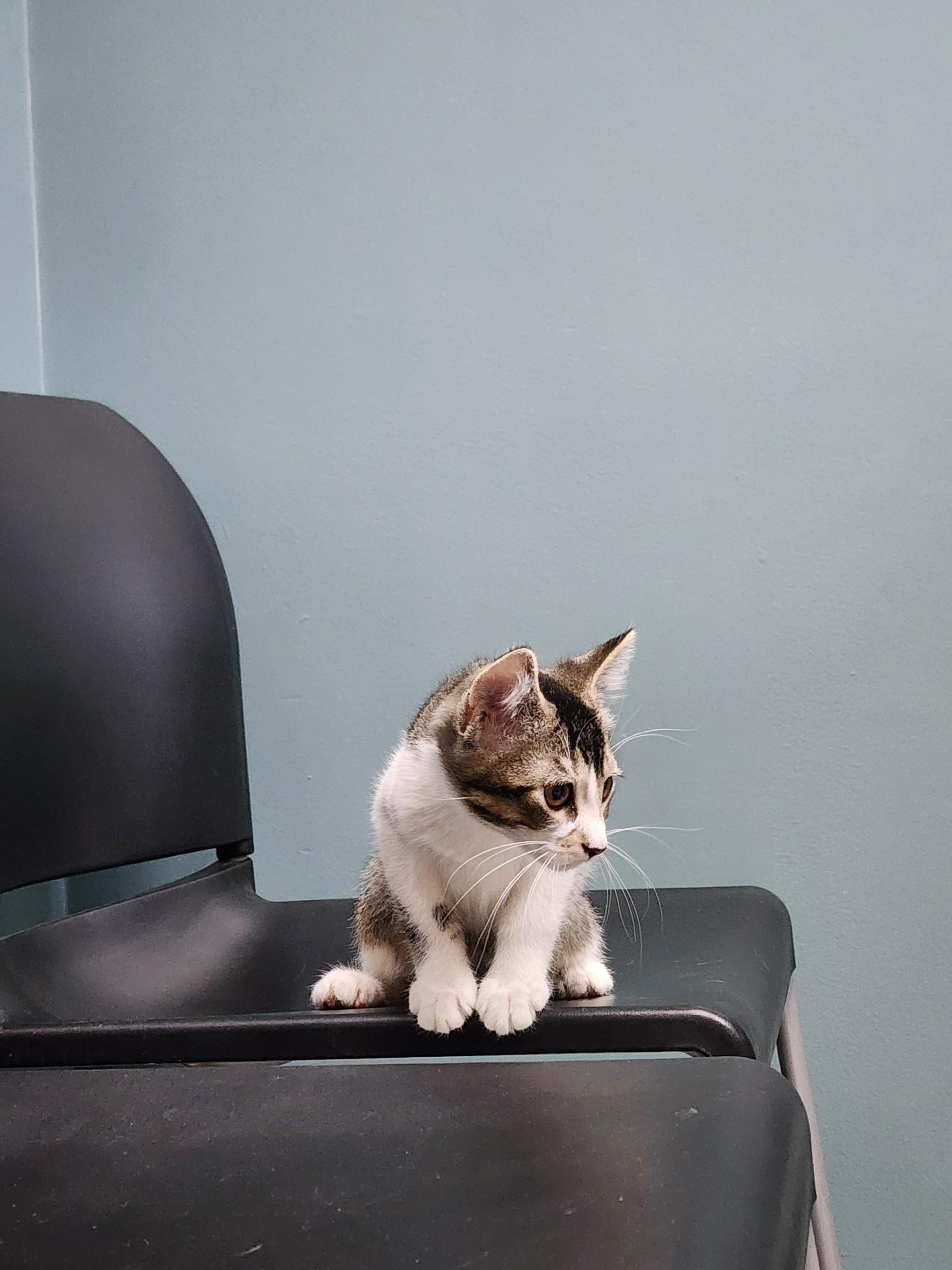 # - Falcor thumbnail 2