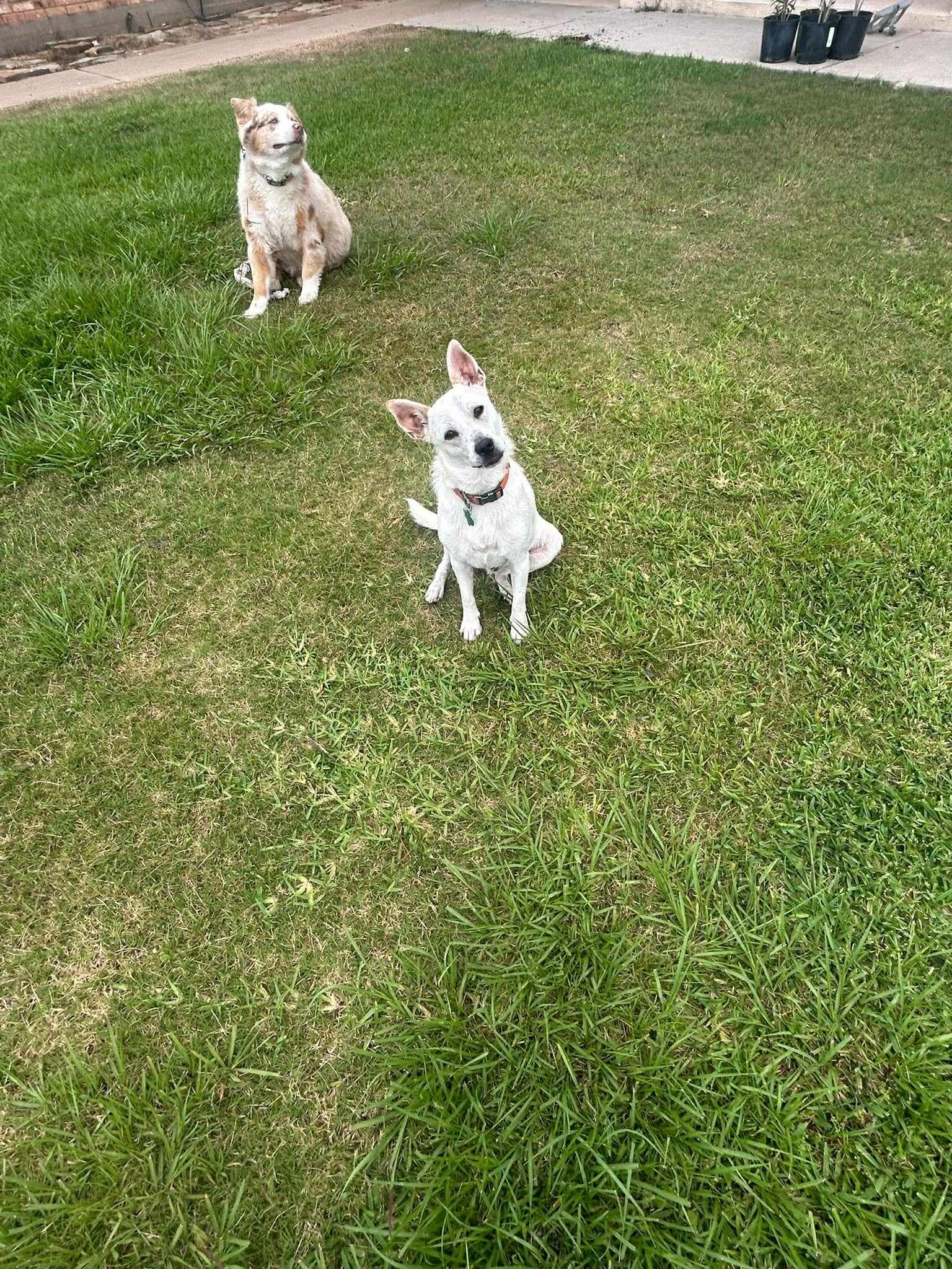 Beasley photo 4