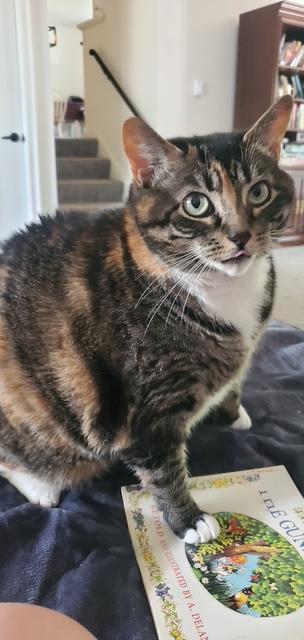 Makka & Nala (Courtesy Post)