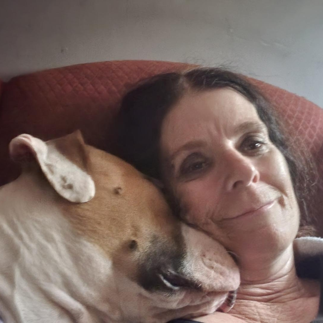 Enlarge Maggie, a Adopted American Bulldog in Lebec, CA image 2/5