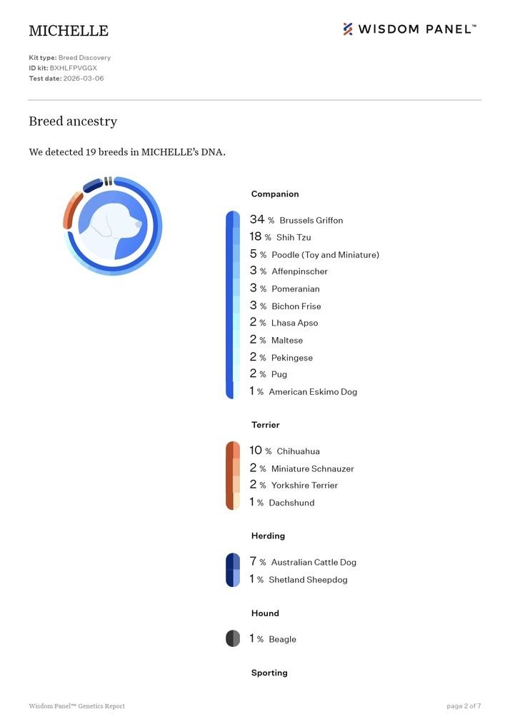 Michelle aka Shelly, a Adoptable mixed breed in Bonifay, FL image 3/3