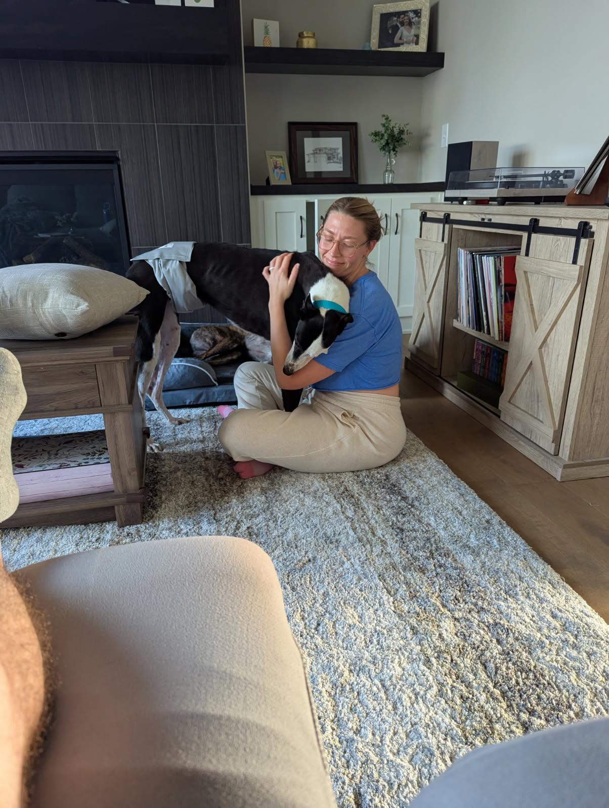 Zurich, a Adopted Greyhound in Kansas City, MO image 1/3