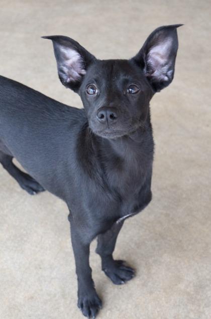 Tonya — thumbnail 2