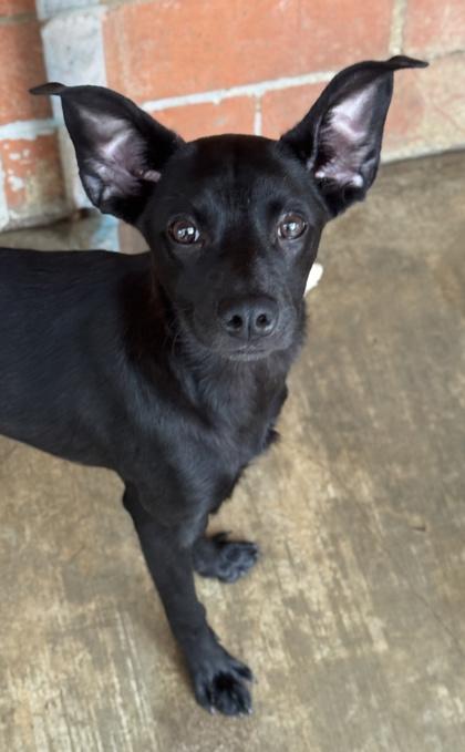 Tonya — thumbnail 3