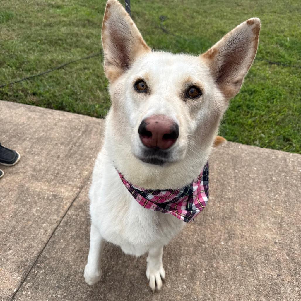 Katrina — thumbnail 6