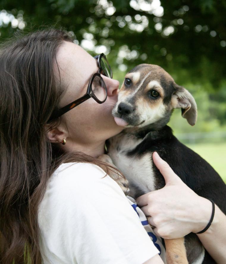 Mazey, an adopted Mixed Breed in Franklin, TN image 2/3