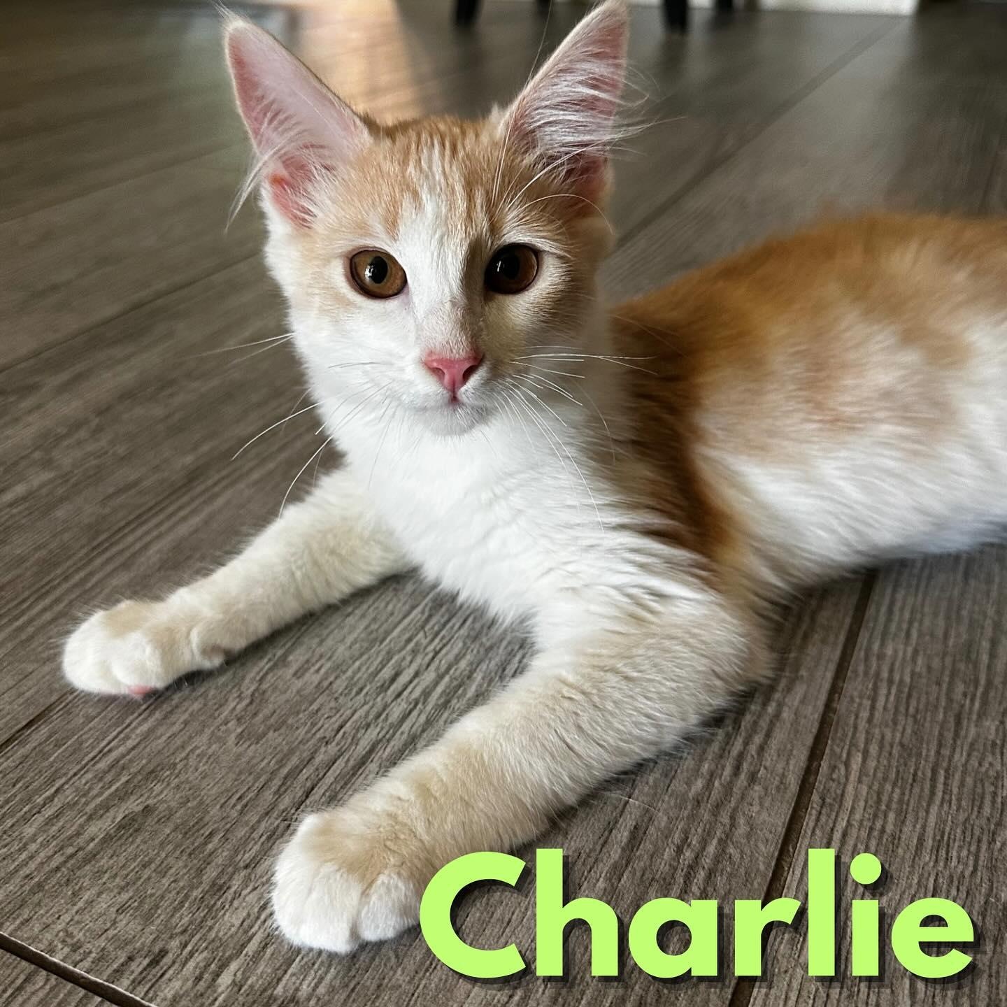 Charlie