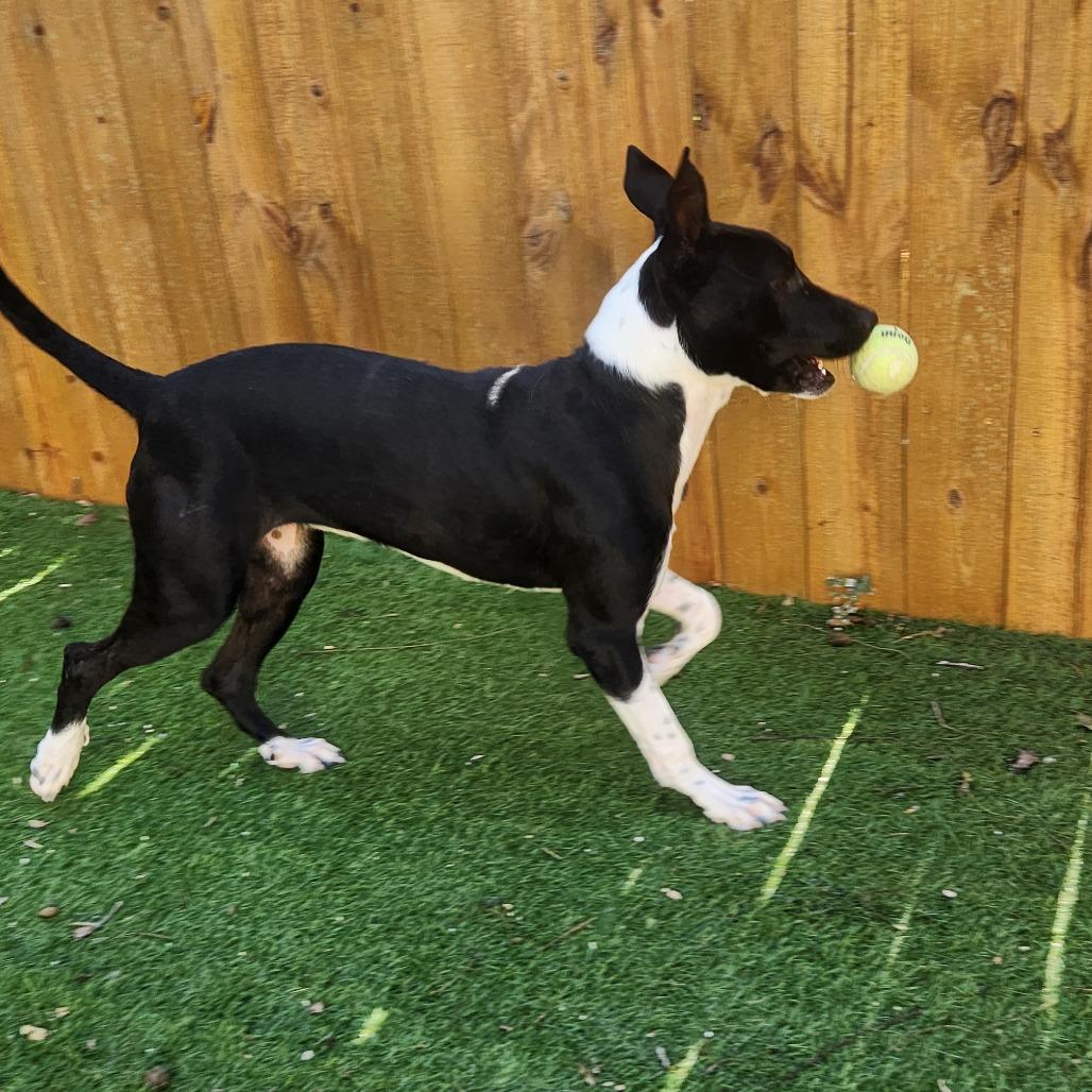 Mystic Jum thumbnail 7