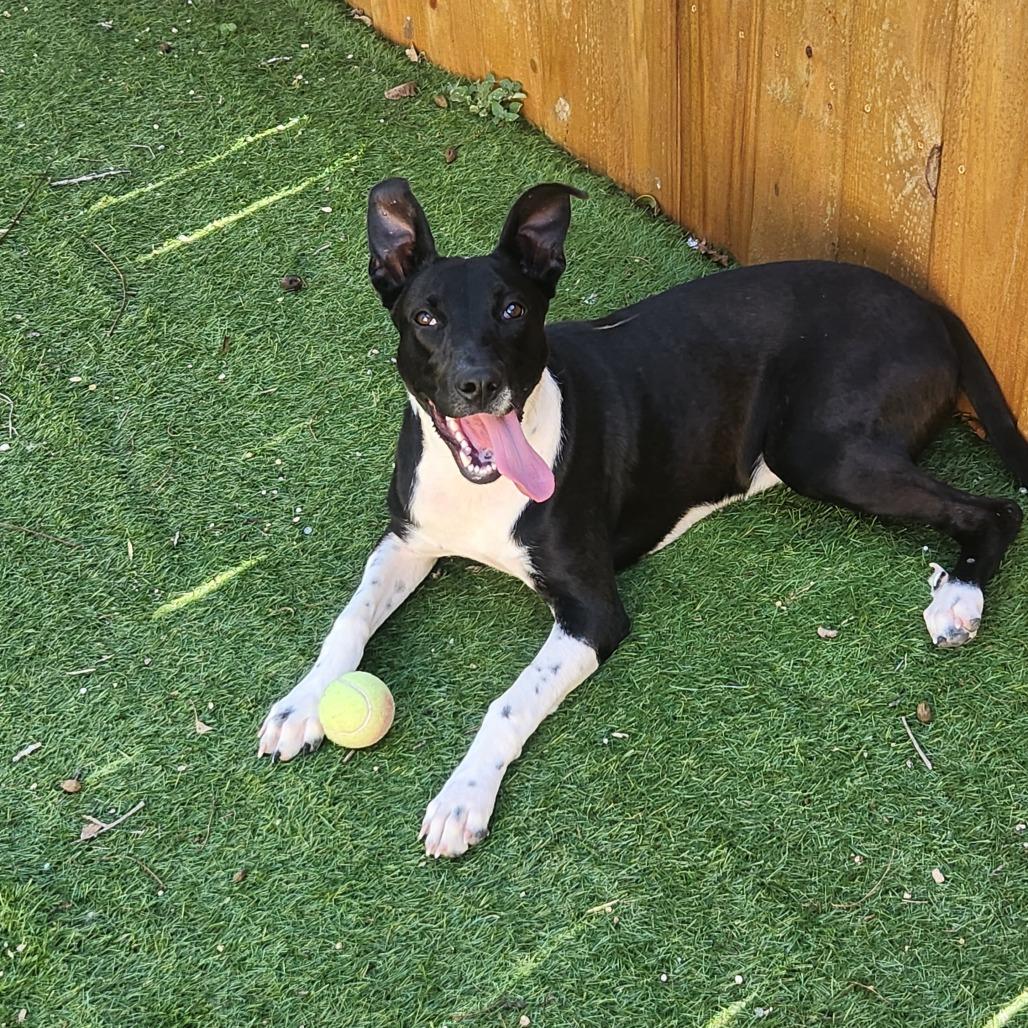 Mystic Jum thumbnail 9