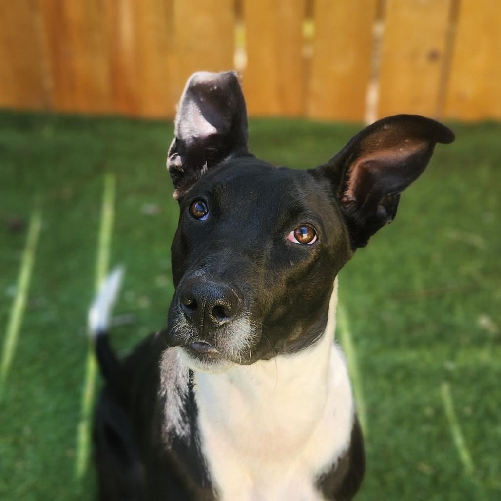 Mystic Jum thumbnail 11