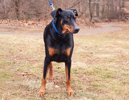 Tucker — thumbnail 2