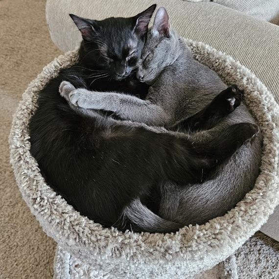 Flower Power 14 — thumbnail 6