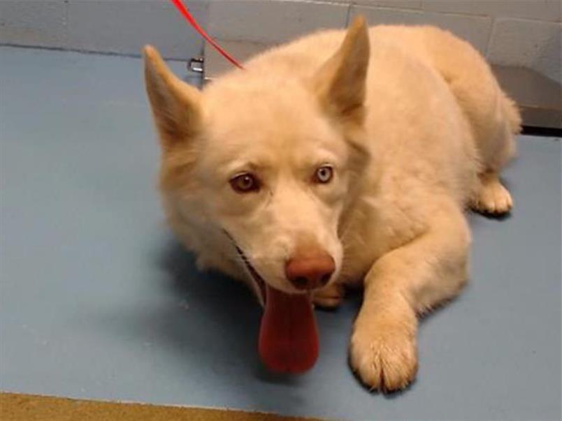 SAVE ME PLEASE! LENA #A543686