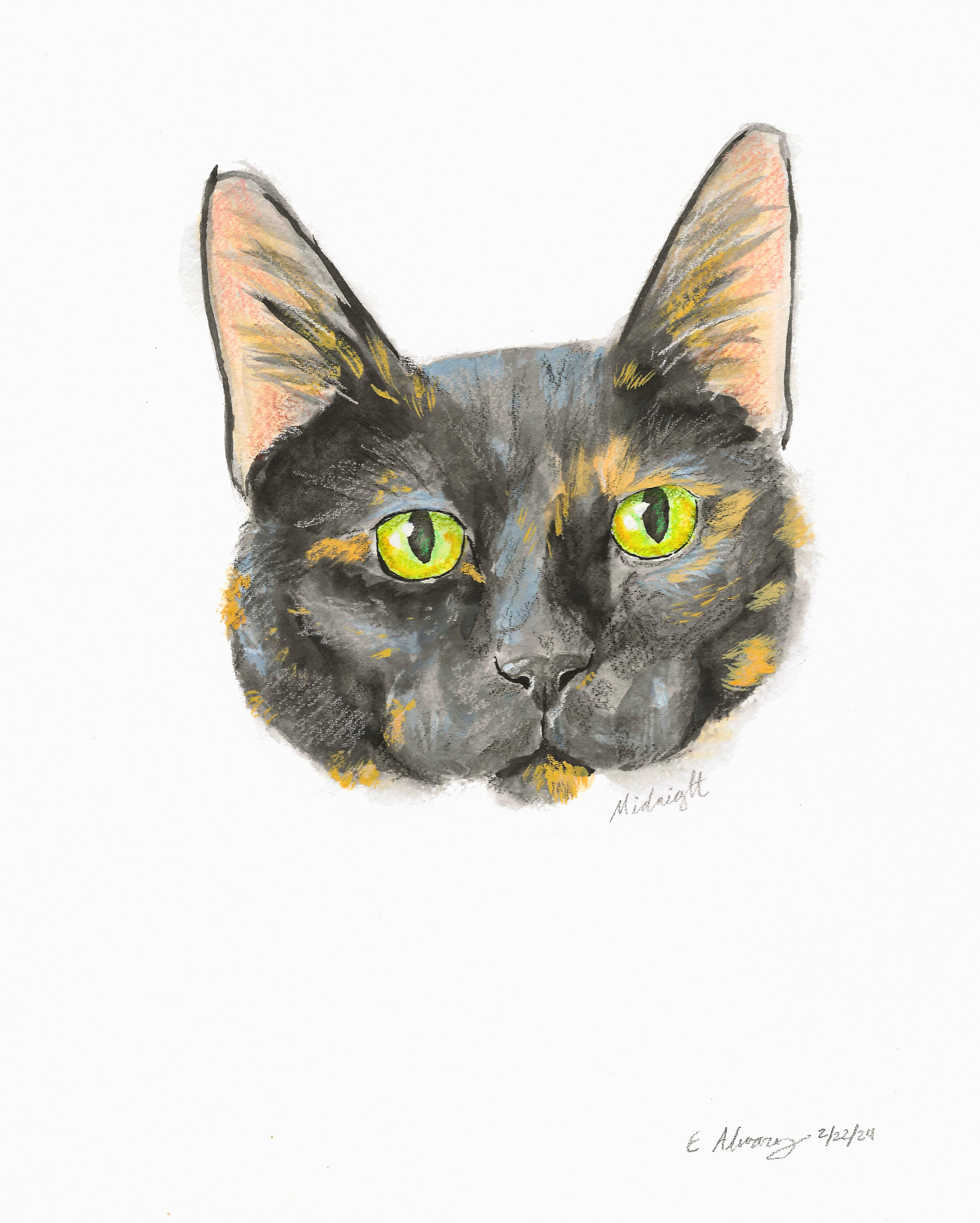 Enlarge Midnight, a Adoptable Domestic Short Hair in New Cumberland, PA image 6/6