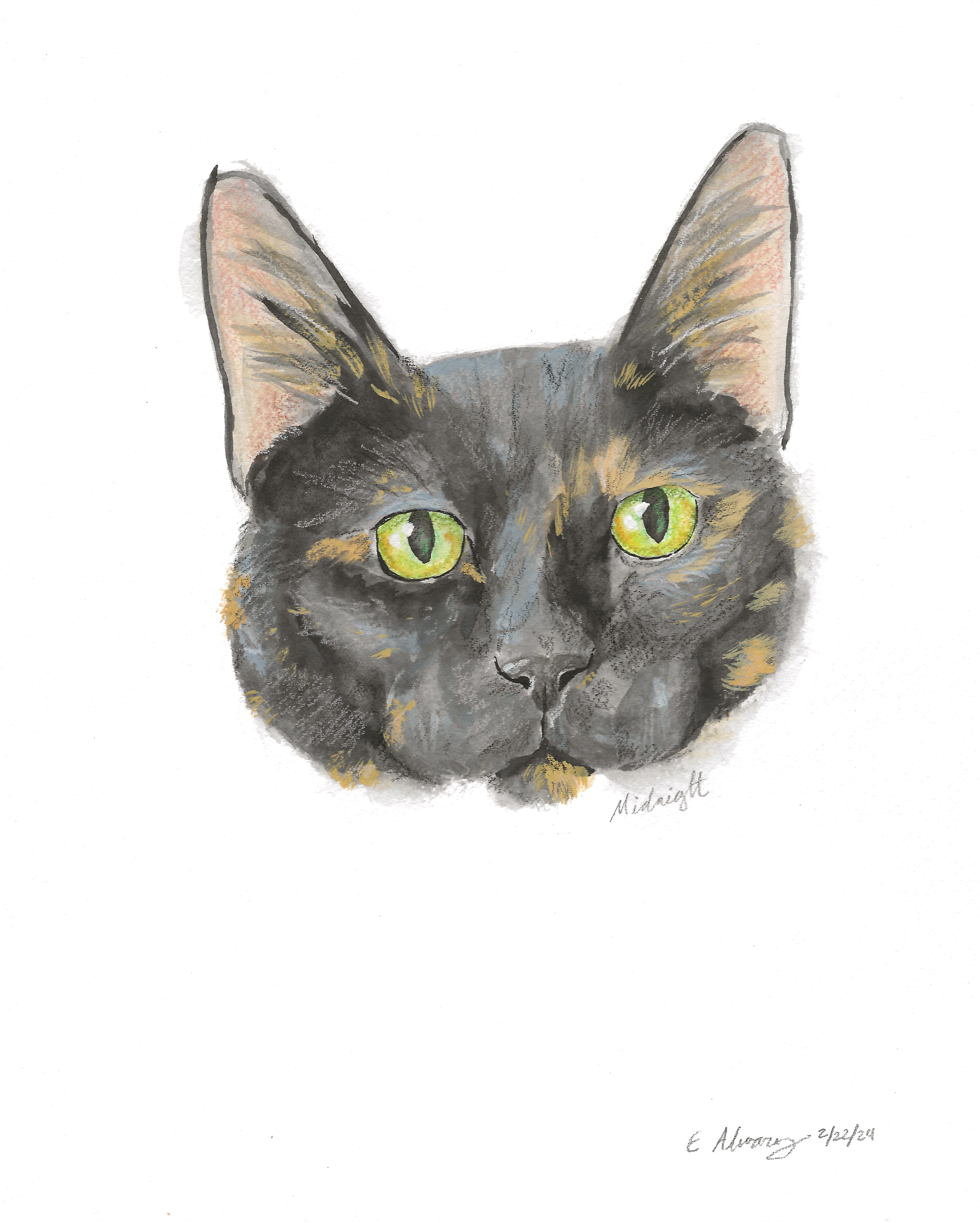 Enlarge Midnight, a Adoptable Domestic Short Hair in New Cumberland, PA image 6/6