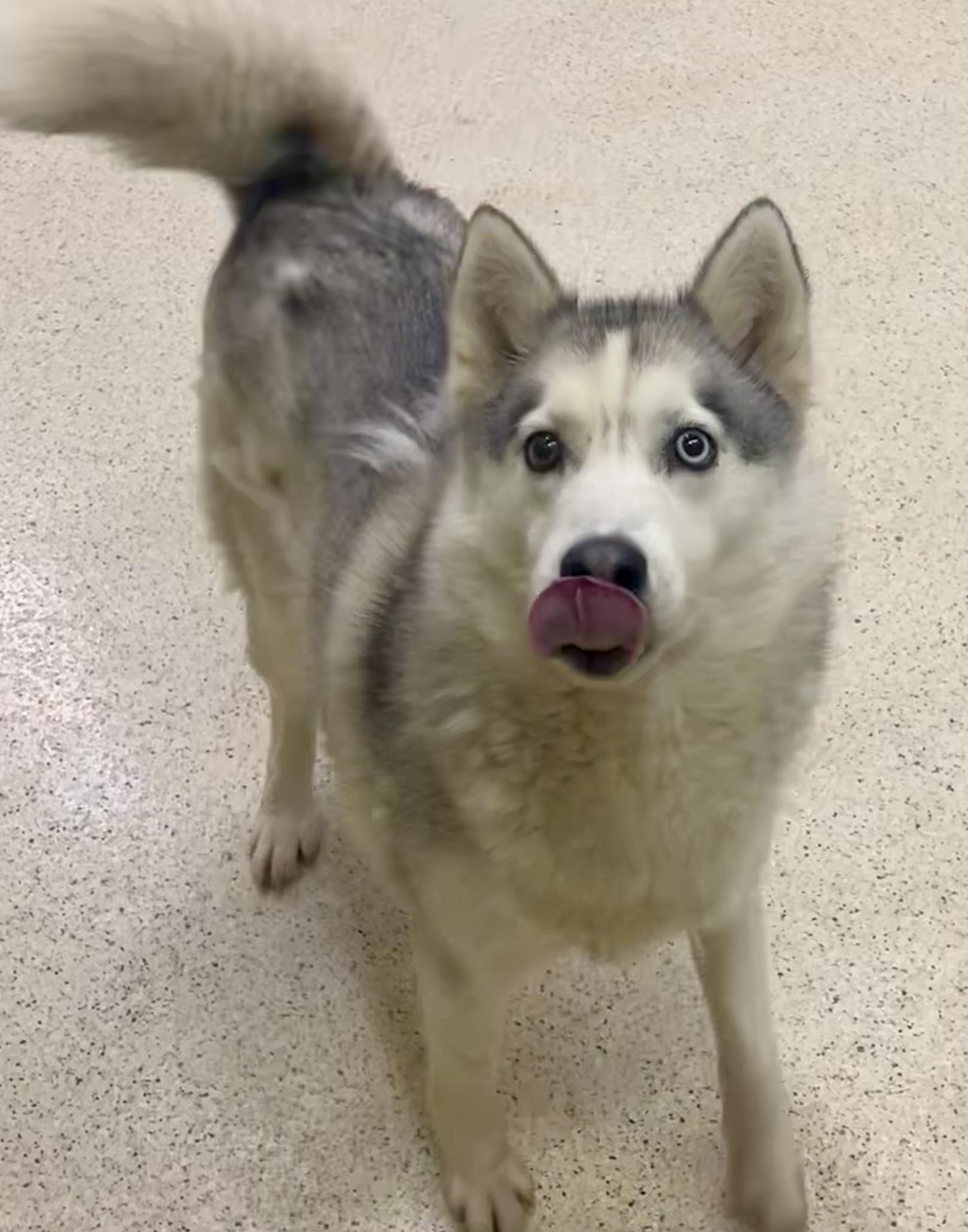 Kaya