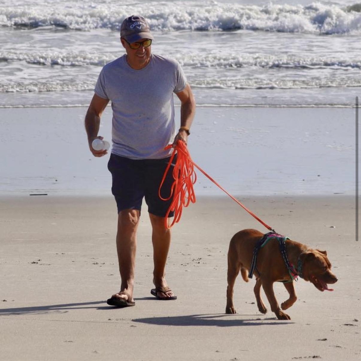 Enlarge Kali, a Adoptable Mixed Breed image 3/4