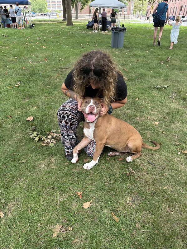 Enlarge Caprese, an adoptable Mixed Breed in Chester, PA image 3/6