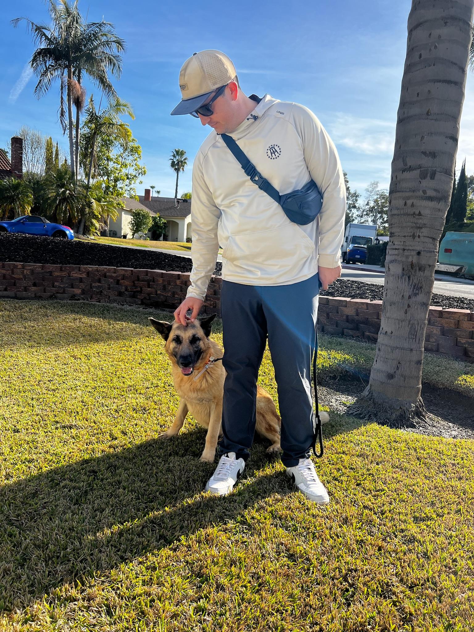 Tofu , a Adoptable German Shepherd Dog in santa monica, CA image 4/6