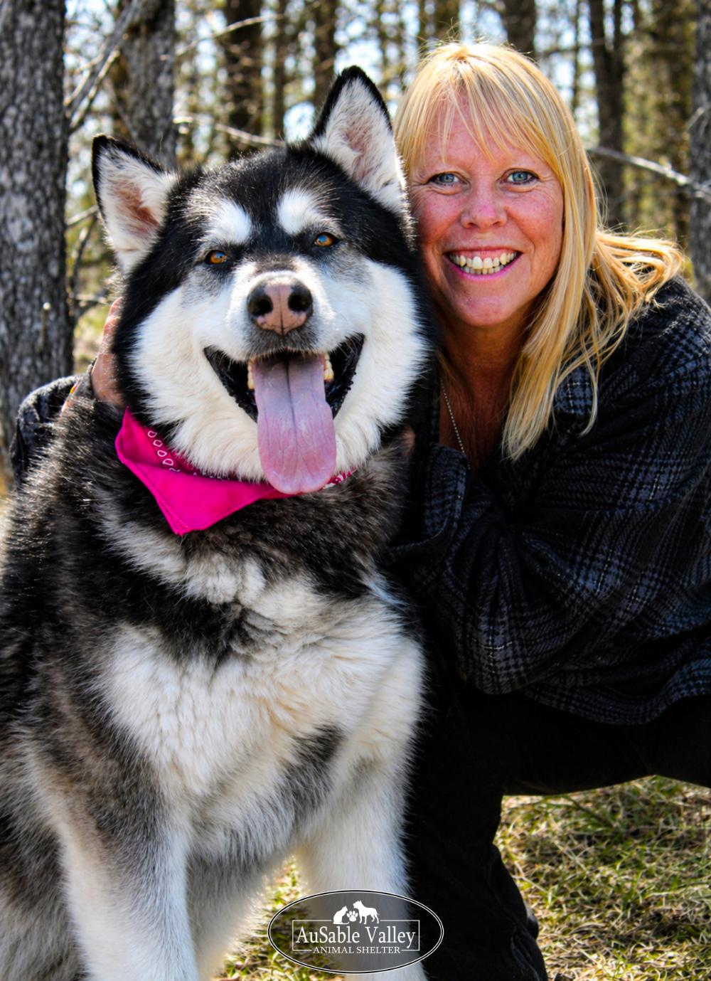 Skylar, an adoptable Alaskan Malamute in Grayling, MI image 2/6