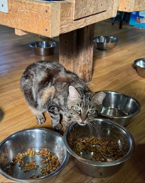 Maxine — thumbnail 2